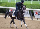 Noble Indy
Morning scenes on June 7, 2018 at Belmont Park in Elmont, New York. 