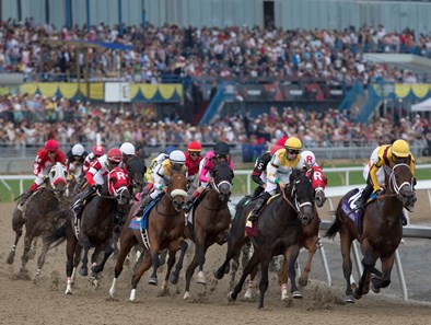 Wonder Gadot - Horse Profile - BloodHorse