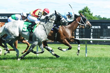 Turf racing at Delaware Park
