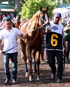 Good Magic - Horse Profile - BloodHorse
