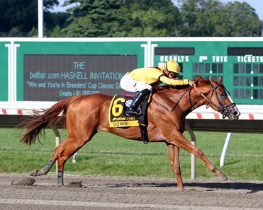 Good Magic - Horse Profile - BloodHorse