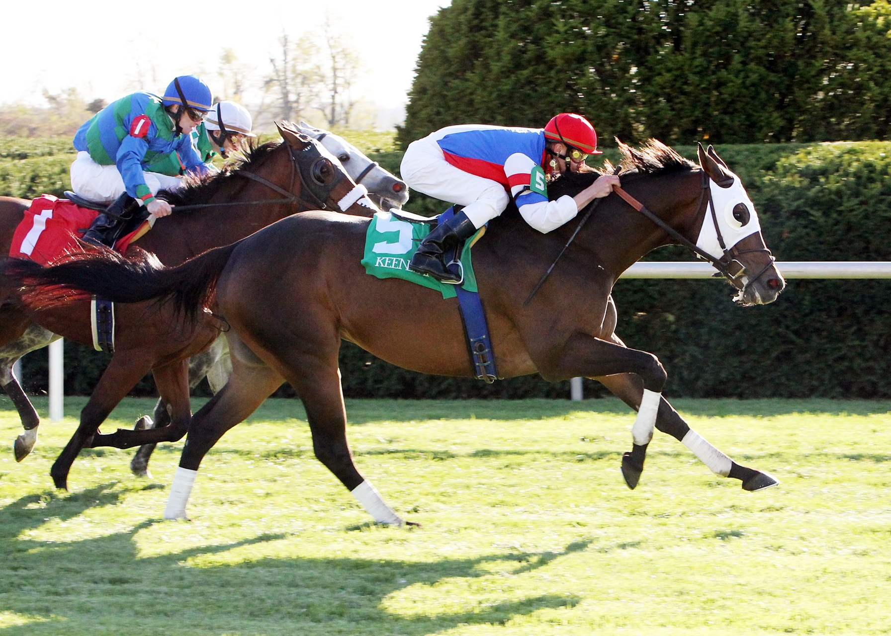 Thoroughbred race horse hats Clearance