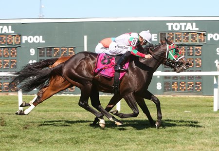 Vision Perfect Scores in Parx Dash - BloodHorse