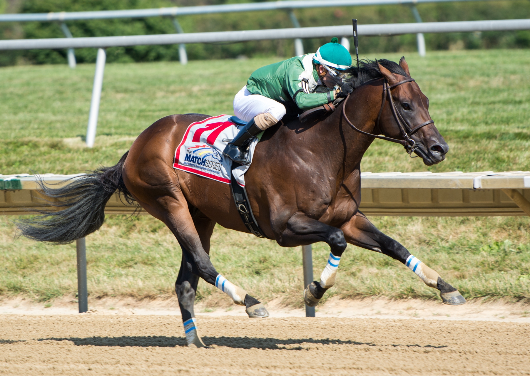 Always Sunshine - Horse Profile - BloodHorse