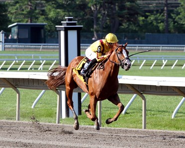 Good Magic - Horse Profile - BloodHorse