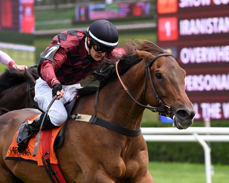 Mark Buyck Jr.'s Show Court wins the 2018 A.P. Smithwick at Saratoga Race Course