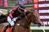 Show Court (IRE) wins the 2018 A.P Smithwick Memorial Handicap