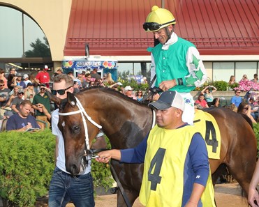 Some Say So - Horse Profile - BloodHorse