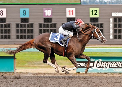 Barkley Horse Profile Bloodhorse