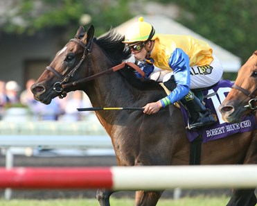 Robert Bruce (CHI) - Horse Profile - BloodHorse