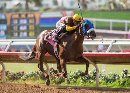 Naughty Tiger - Horse Profile - BloodHorse