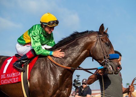 catapult mar del mile van bloodhorse dyke horse victory drayden jockey their after