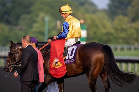 Robert Bruce (CHI) - Horse Profile - BloodHorse