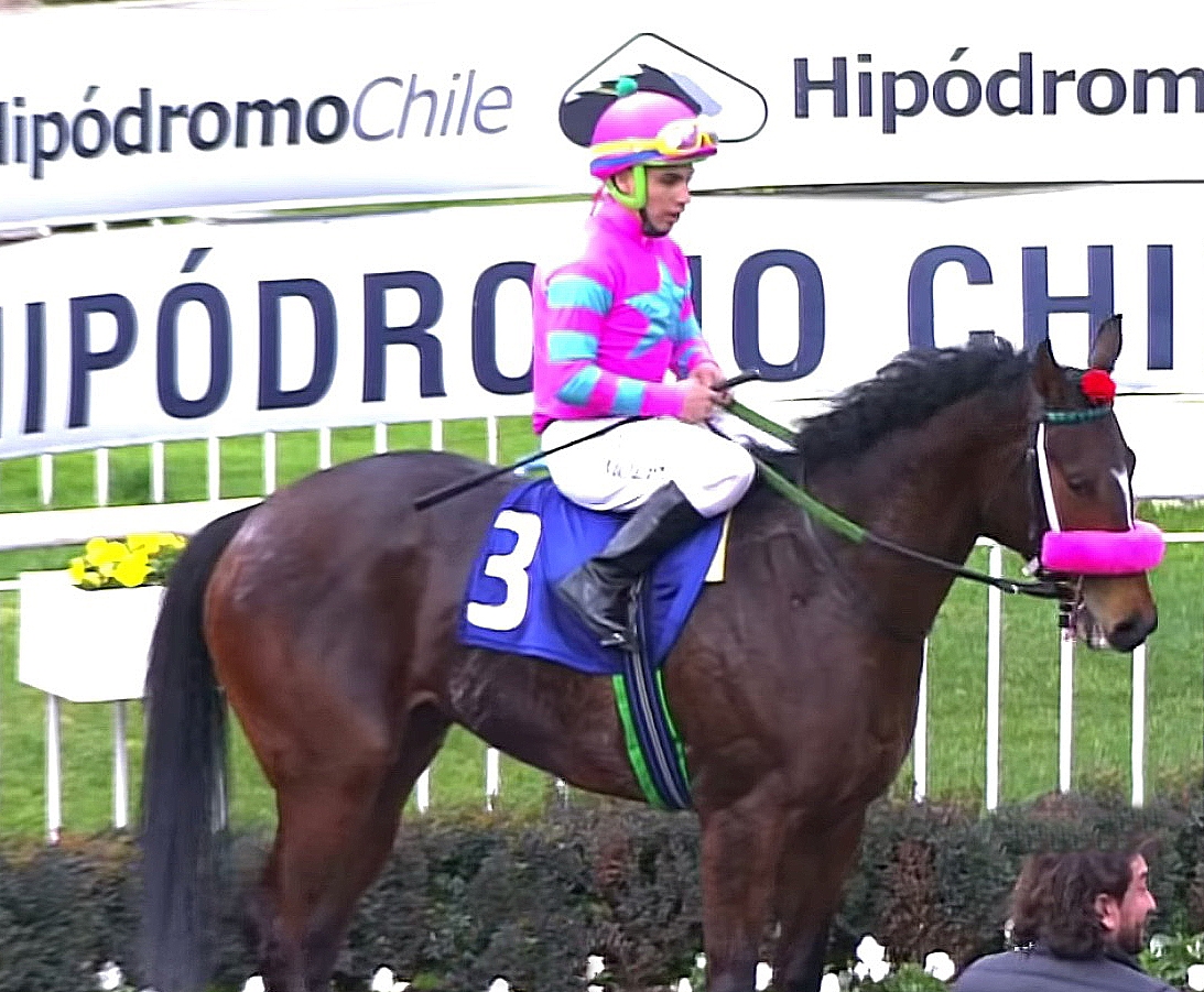 irad ortiz jr injury update