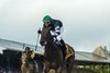 #6 Diversify with jockey Irad Ortiz Jr. goes wire to wire winning 91st running of The Whitney Stakes Saturday Aug. 4, 2018 in Saratoga Springs, N.Y.(Skip Dickstein/Tim Lanahan)