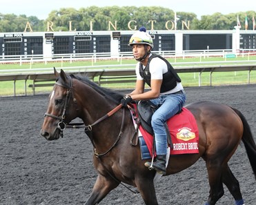 Robert Bruce (CHI) - Horse Profile - BloodHorse