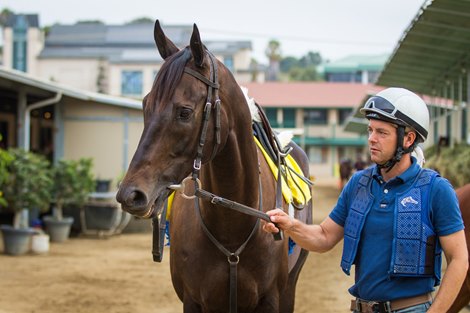 Will Powell Racing On Racing: Powell Proving He's No Flash in the Pan - BloodHorse
