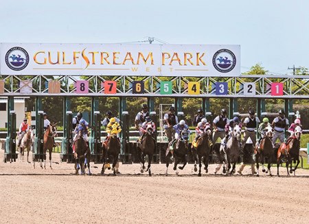 despite challenges gulfstream west steady bloodhorse