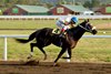 Engram wins 2018 C. J. Hindly Humboldt County Marathon Handicap at Ferndale.