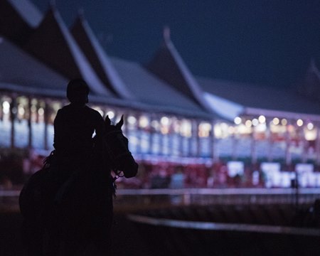 A horse trains at Saratoga Race Course in upstate New York