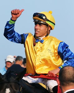 Robert Bruce (CHI) - Horse Profile - BloodHorse