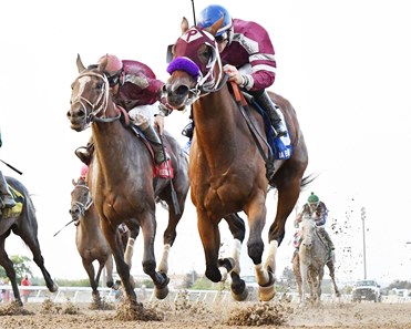 The Week in Photos 8/14/2018 - Slideshow - BloodHorse