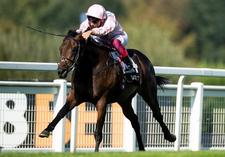 Too Darn Hot wins the 2018 Solario Stakes at Sandown Park