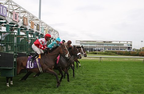 monmouth-at-meadowlands-dates-amended-bloodhorse