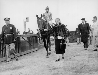 Bold Ruler - Horse Profile - BloodHorse