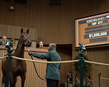 Graeme Six - Horse Profile - BloodHorse