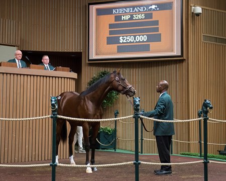 A Union Rags colt was the top seller during the 10th session of the Keeneland September Yearling Sale