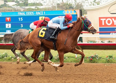 capital account gets first winner in feeling strong bloodhorse