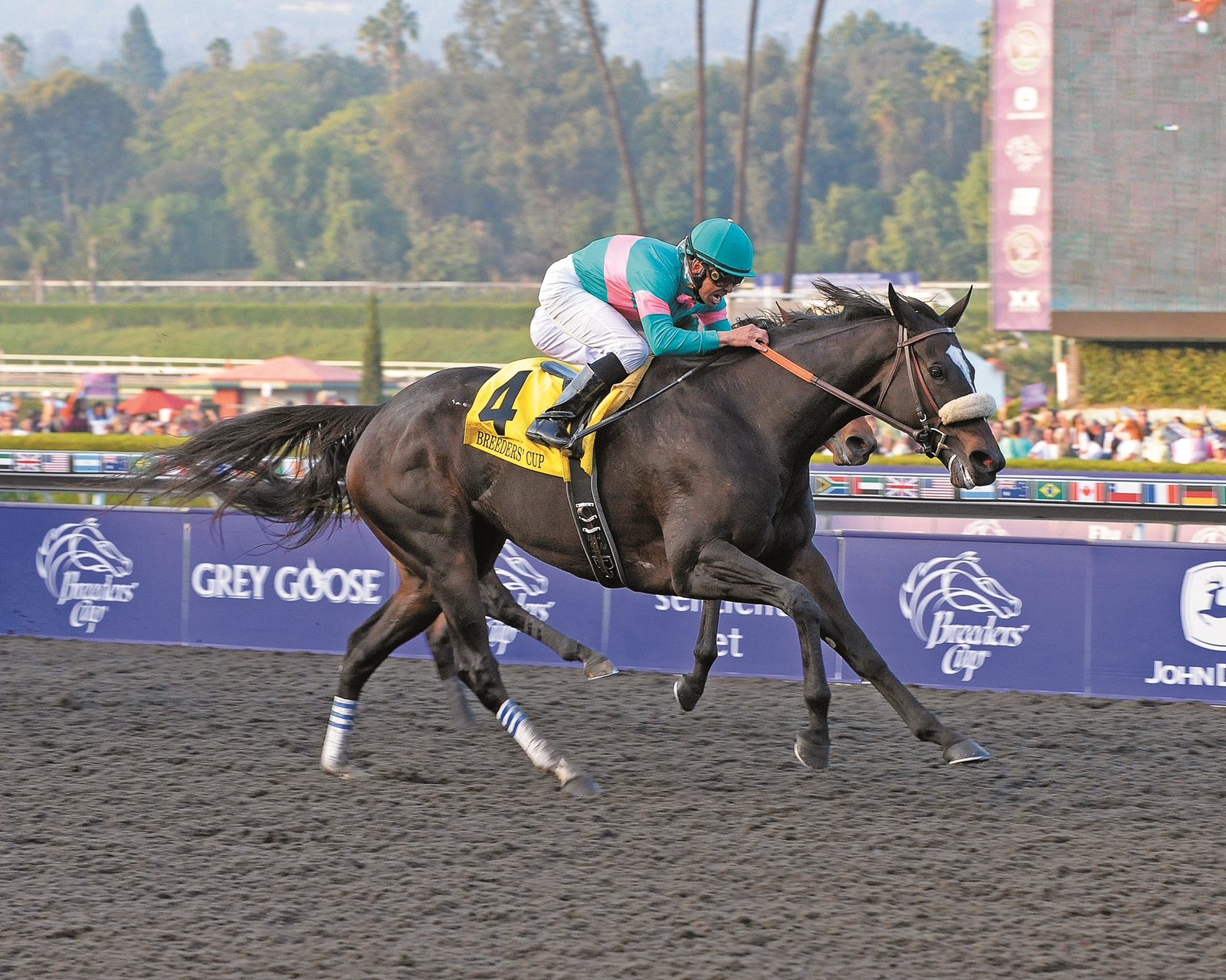 Zenyatta's Bloodlines Return for Mayberry Farm - BloodHorse