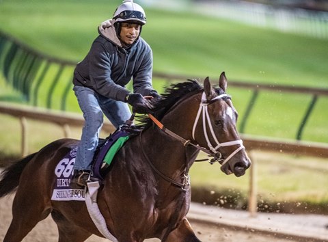 Likely Fields Announced for Dubai World Cup Card