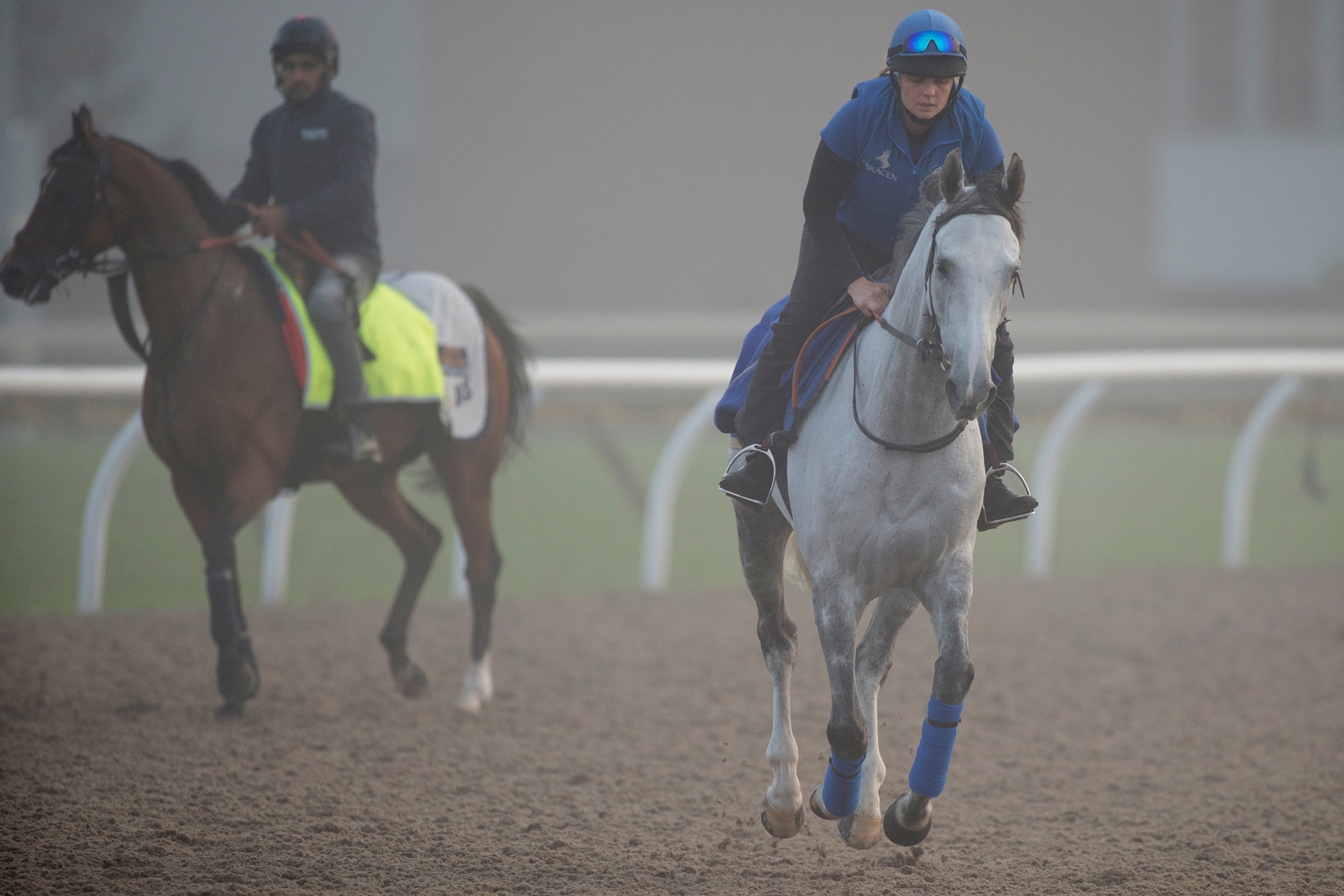 Thundering Blue - Horse Profile - BloodHorse Thundering Blue - Horse Profile - BloodHorse