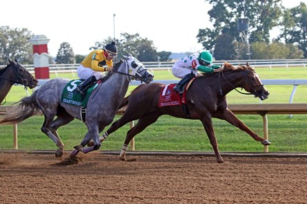 Promises Fulfilled - Horse Profile - BloodHorse