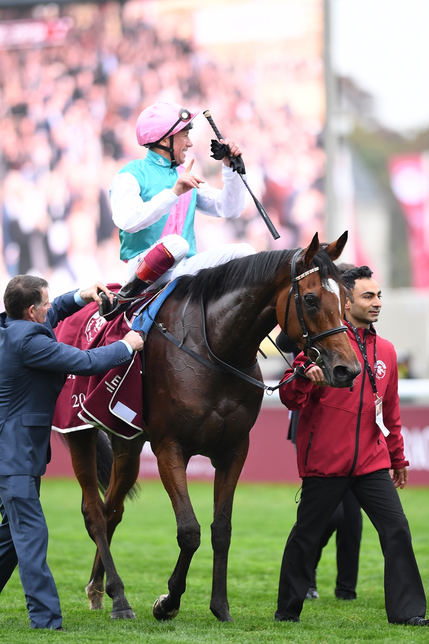Enable Gets Green Light for Breeders' Cup Turf - BloodHorse