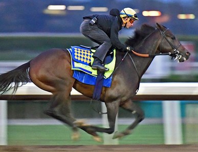 Ax Man - Horse Profile - BloodHorse