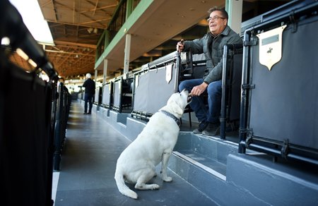 Louie gets a treat from trainer John Sadler in the grandstand at Santa Anita Park