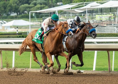 Chasing Yesterday - Horse Profile - BloodHorse