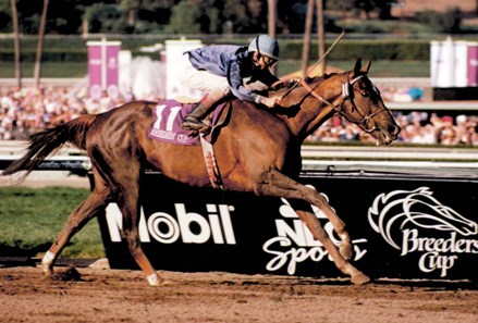 Breeders' Cup Winner Twilight Gleaming Heads Mamzelle - BloodHorse