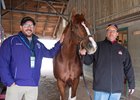 l-r, Harlan Malter, Bucchero, Tim Glyshaw
Breeders&#39; Cup horses Oct. 29, 2018 Churchill Downs in Louisville, Ky. 