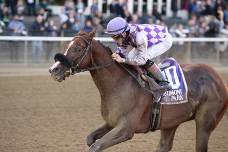 Pat On The Back - Horse Profile - Bloodhorse