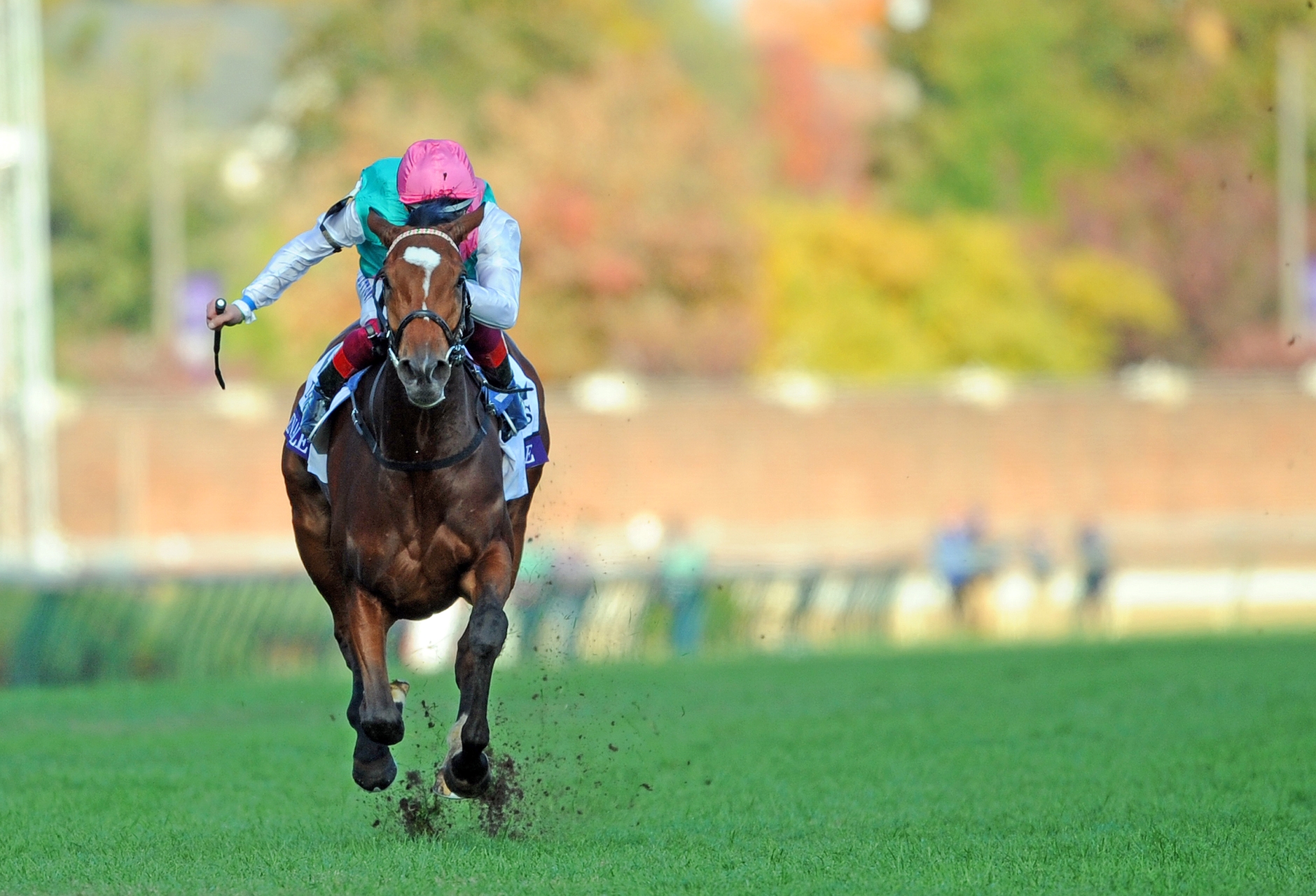 Enable Makes History With Brilliant BC Turf Win BloodHorse