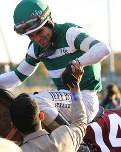 Accelerate - Horse Profile - BloodHorse