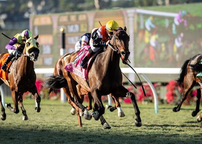 Chicago Style - Horse Profile - BloodHorse