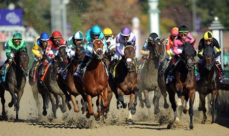 Monomoy Girl - Horse Profile - BloodHorse