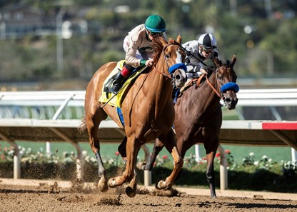 Chasing Yesterday - Horse Profile - BloodHorse