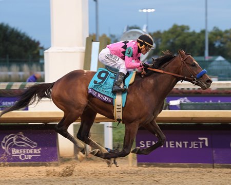 Game Winner wins the 2018 Breeders' Cup Juvenile at Churchill Downs