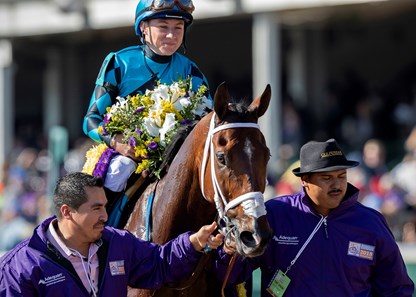 Stormy Liberal - Horse Profile - BloodHorse